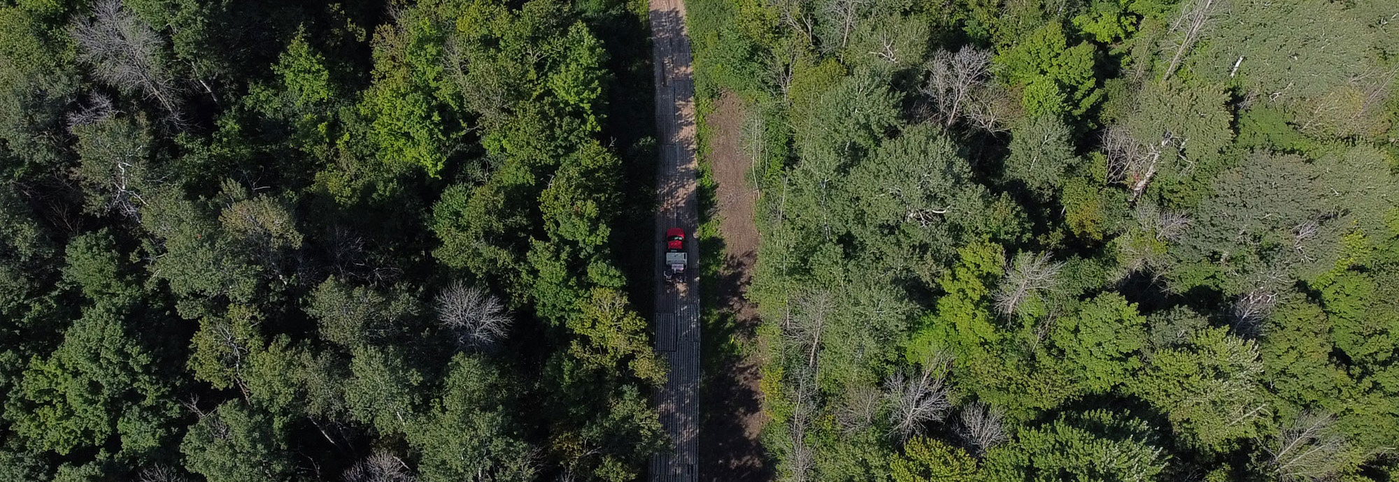 Vue aérienne d'une forêt avec une emprise de pipeline protégée par des tapis.