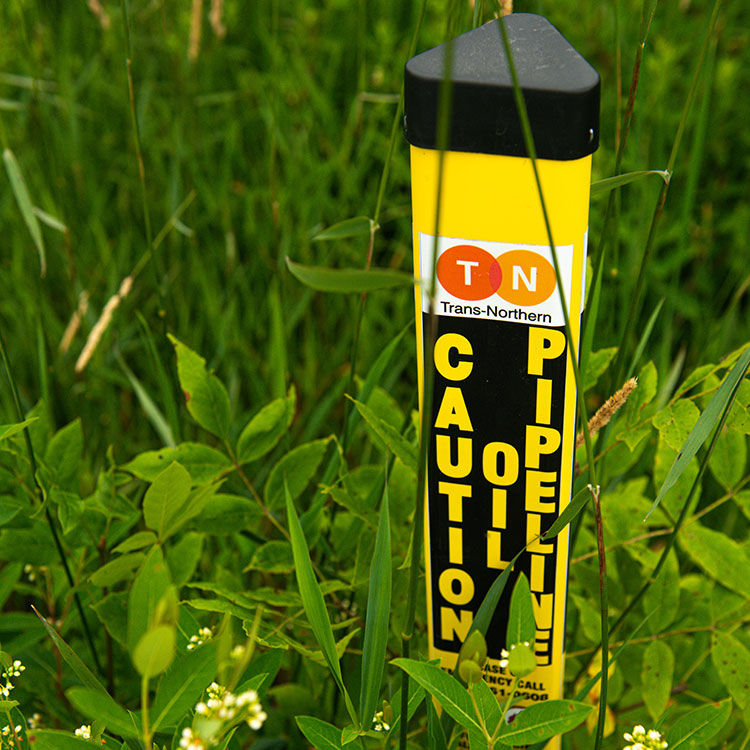 Marqueur de pipeline PTNI jaune avec une écriture anglaise entourée de hautes herbes.