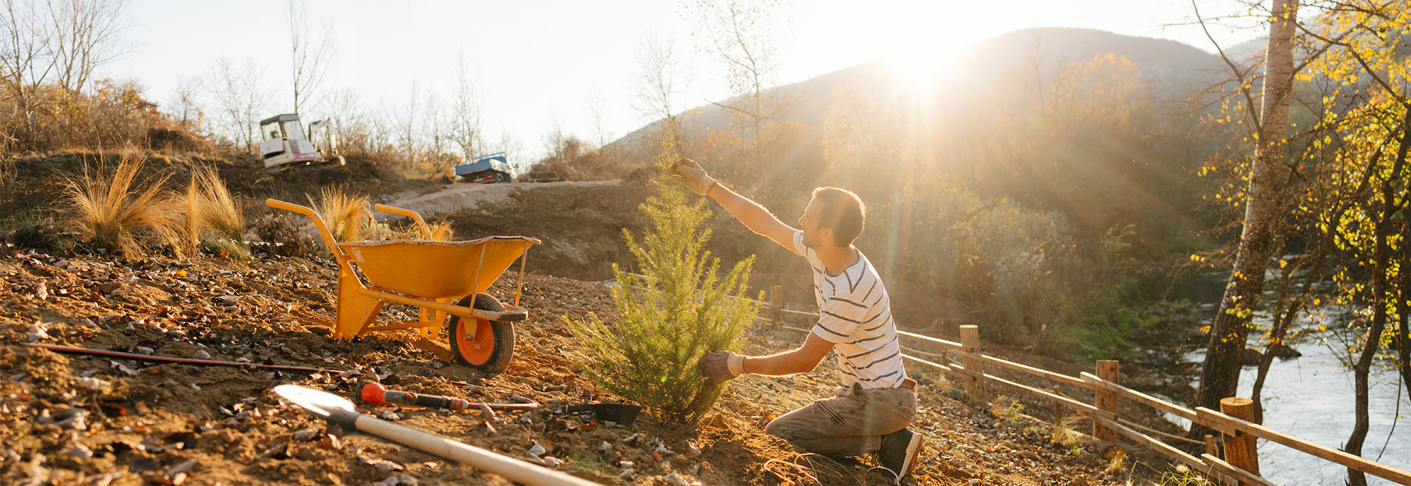 Un homme portant un jean, un t-shirt, des baskets et des gants de travail inspecte son arbre nouvellement planté avec des outils de jardin à proximité et une excavatrice en arrière-plan.