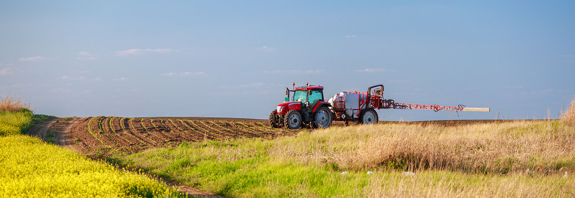 Un tracteur rouge sur un champ agricole.